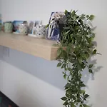 Stanza Da Apollo E Diana Homestay szállás *