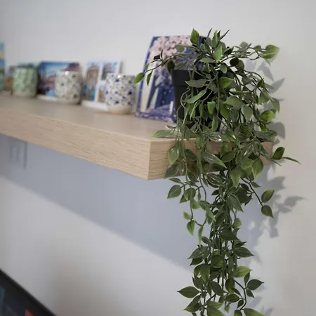 Stanza Da Apollo E Diana Homestay *